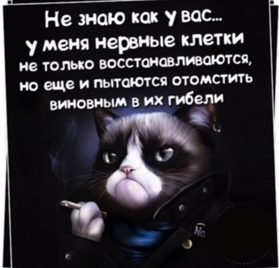 Не знаю как у вас у меня Нервные клетки не ТОЛЬКО ВОССТШФЛЮШОТСЯ но еще и ПЬПФОТСП ОТОМСТИТЬ втовиьш в их гибели