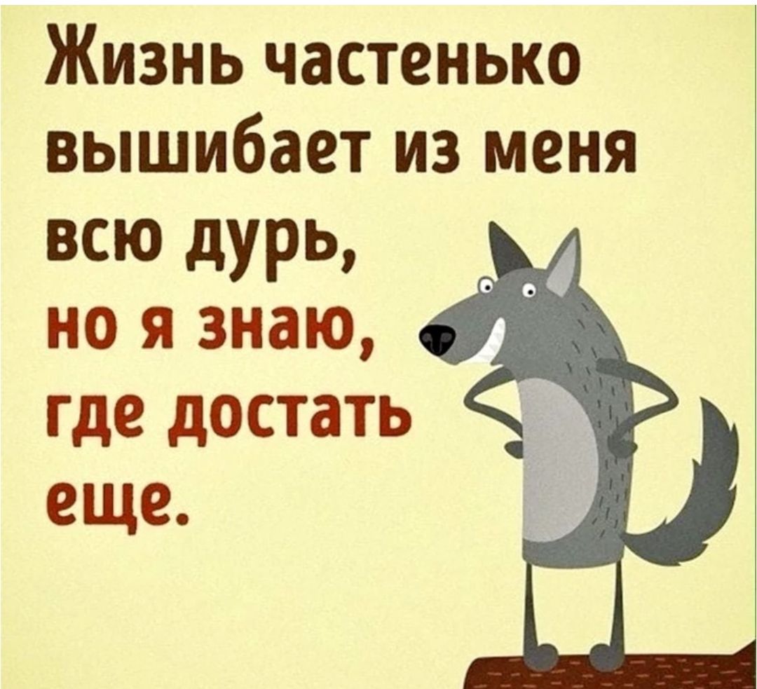 Жизнь частенько вышибает из меня всю дурь но я знаю где достать еще