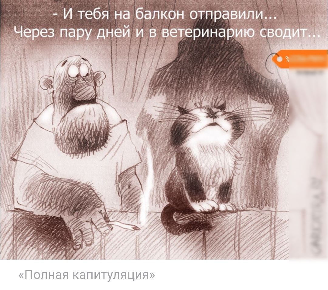 Полная капитуляция