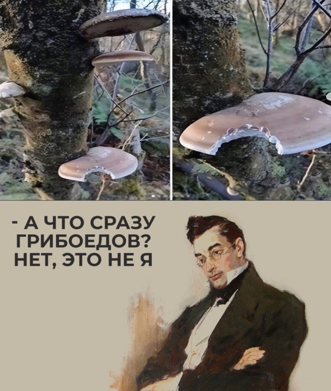 АЧТО СРАЗУ ГРИБОЕДОВ НЕТ ЭТО НЕ Я