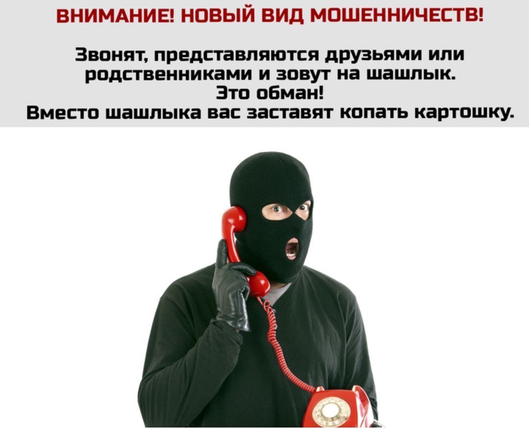 ВНИМАНИЕ НОВЫЙ ВИД МОШЕННИЧЕСТВ Звонят представляются друзьями или родственниками и зовут на шашлык Это обман Вместо шашлыка вас заставят копать картошку