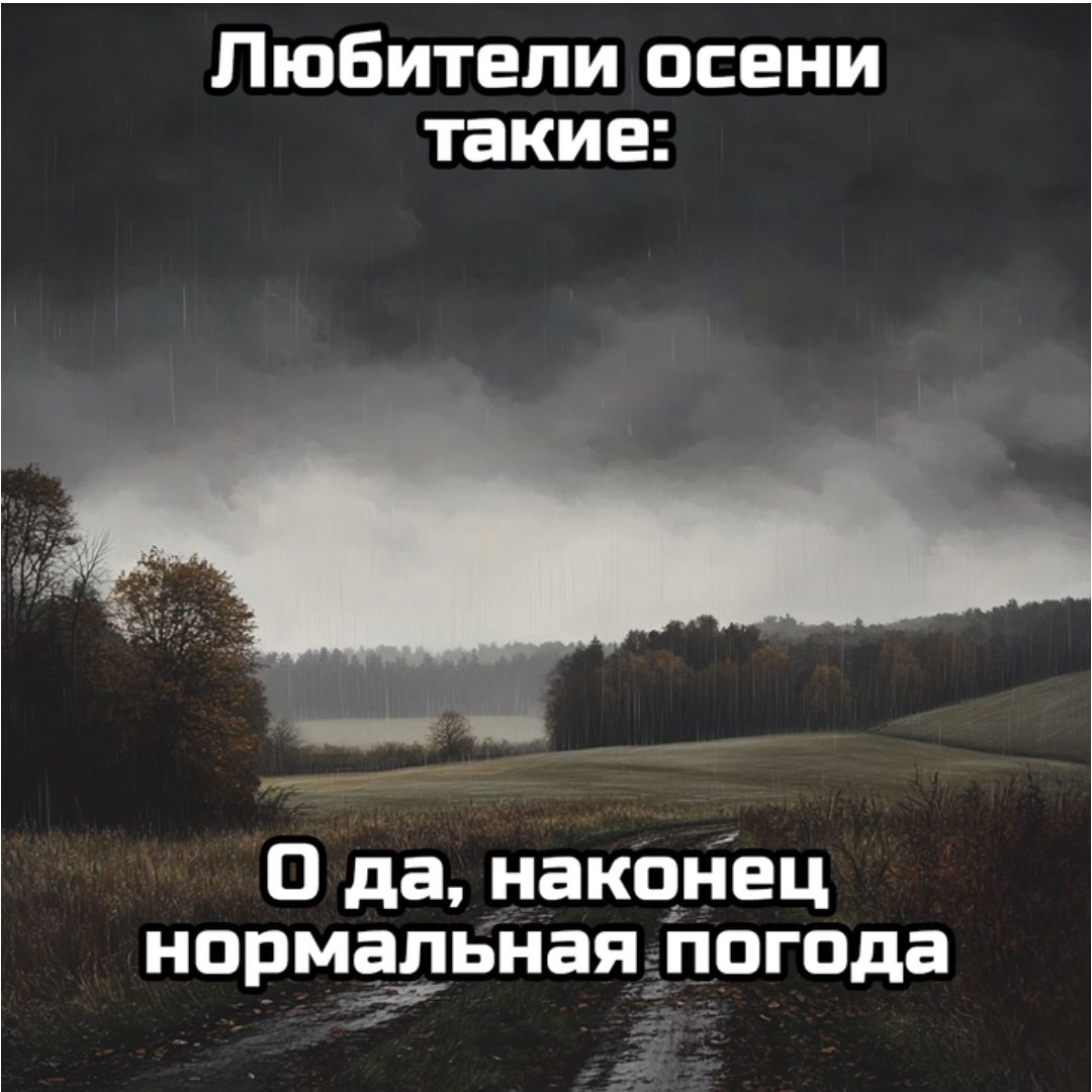 Любители осени такие ронесо шн О да наконец нормальная погода