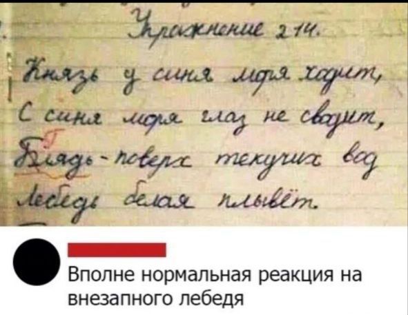 Й аана а Вполне нормальная реакция на внезапного лебедя