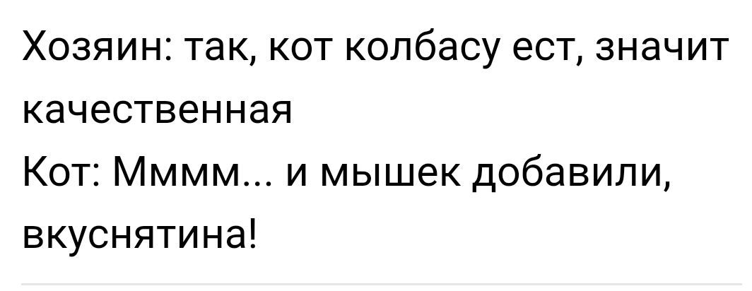 Хозяин так кот колбасу ест значит качественная Кот Мммм и мышек добавили вкуснятина