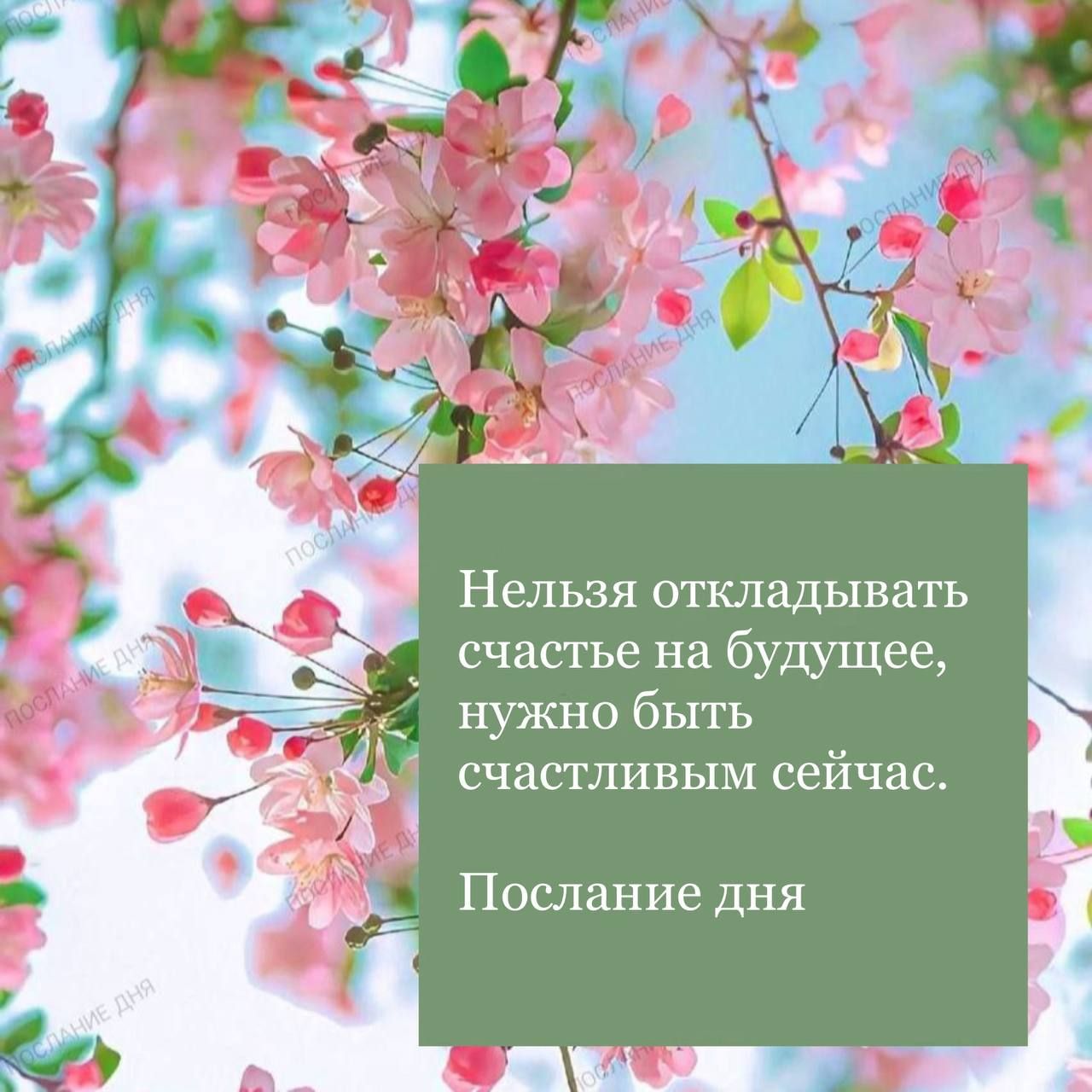 Нельзя откладывать счастье на будущее нужно быть счастливым сейчас Г а й Послание дня