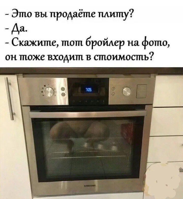 Это вы продаёте плиту Да Скажите тот бройлер на фото он тоже входит в стоимость