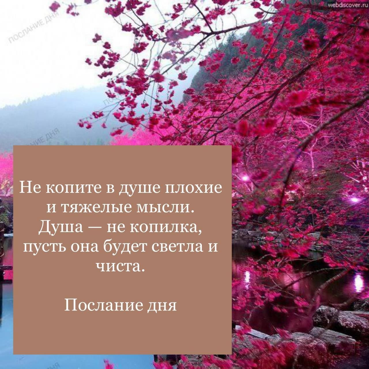 а Не копите в душе плохие и тяжелые мысли Душа не копилка пусть она будет светла и чиста Послание дня