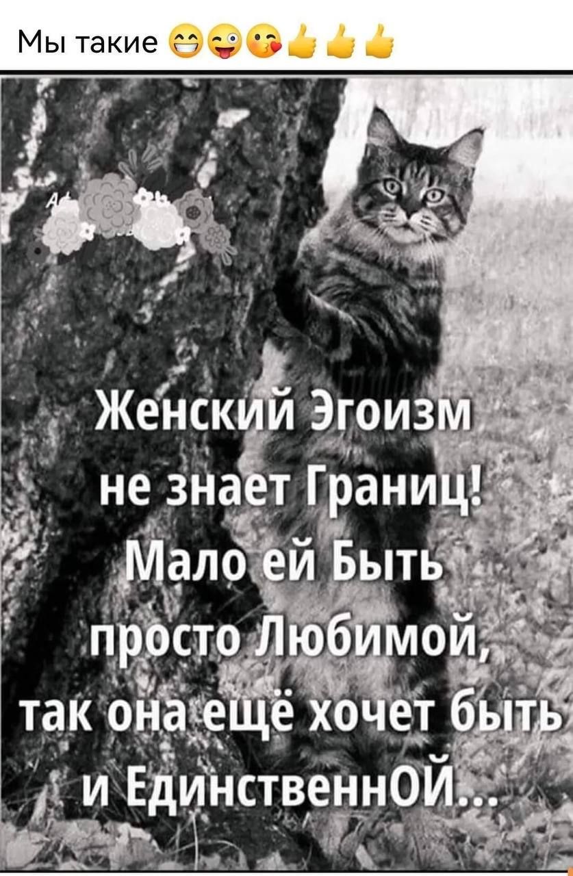 Женский Эгоизм
не знает Границ!
Мало ей быть
просто Любимой,
так она еще хочет быть
и ЕдинственнОЙ...