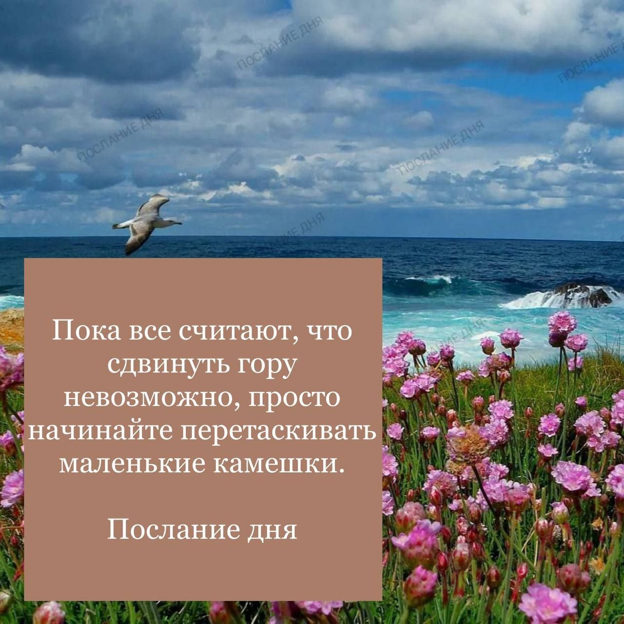 Пока все считают, что сдвинуть гору невозможно, просто начинайте перетаскивать маленькие камешки.
Послание дня