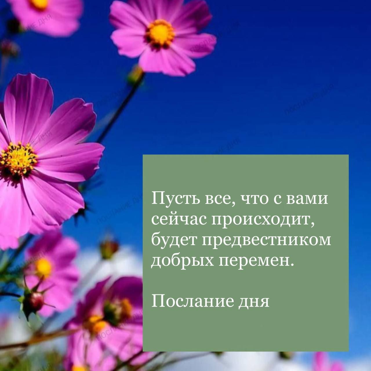 Пусть все, что с вами сейчас происходит, будет предвестником добрых перемен.

Послание дня