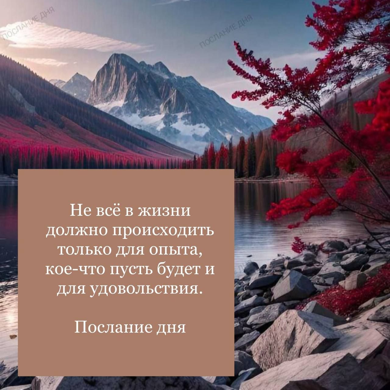 Не всё в жизни должно происходить только для опыта, кое-что пусть будет и для удовольствия.
Послание дня