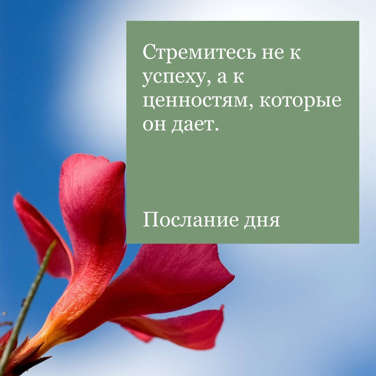 Стремитесь не к успеху, а к ценностям, которые он дает.
Послание дня
