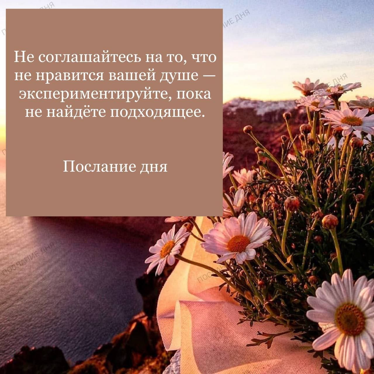 Не соглашайтесь на то, что не нравится вашей душе — экспериментируйте, пока не найдёте подходящее.
Послание дня
