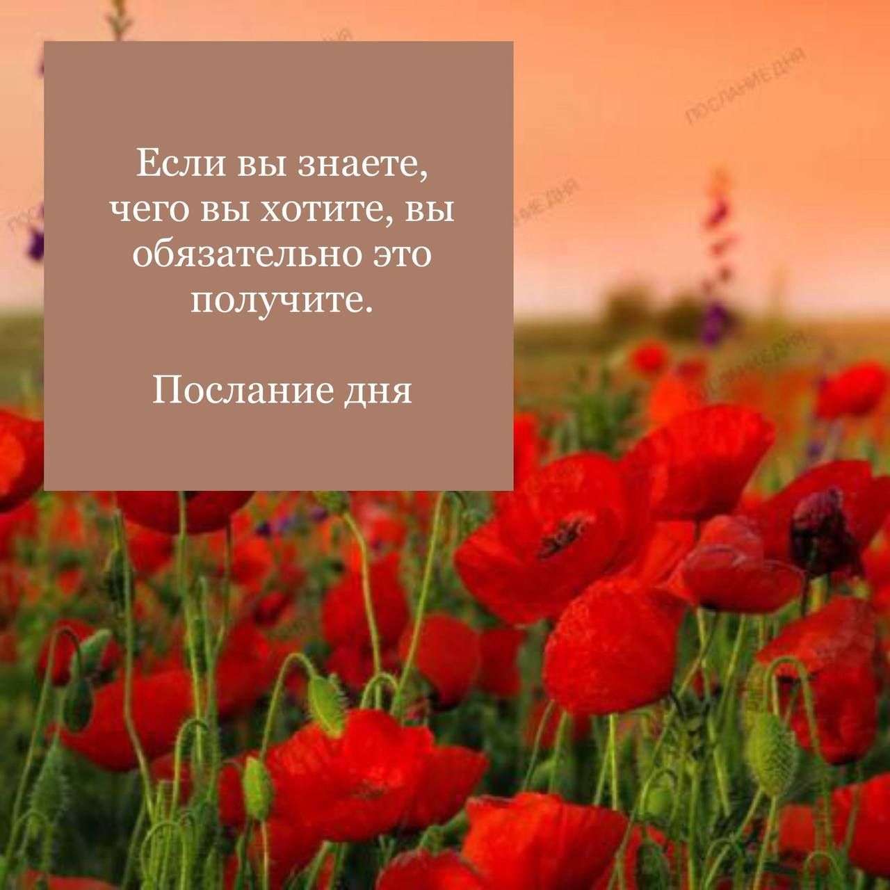 Если вы знаете, чего вы хотите, вы обязательно это получите.
Послание дня