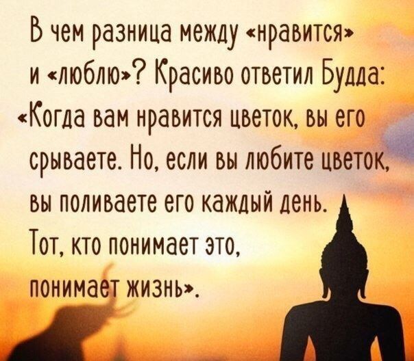В чем разница между «нравится» и «люблю»? Красиво ответил Будда: «Когда вам нравится цветок, вы его срываете. Но, если вы любите цветок, вы поливаете его каждый день. Тот, кто понимает это, понимает жизнь».