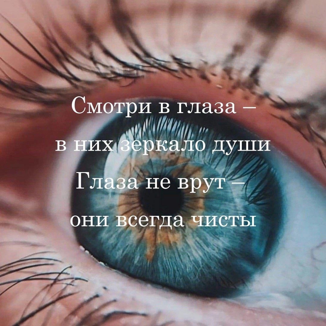 Смотри в глаза – в них зеркало души Глаза не врут – они всегда чисты