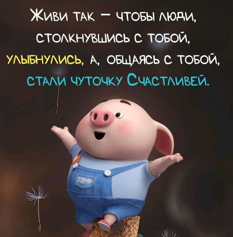 Живи так — чтобы люди, столкнувшись с тобой, улыбнулись, а, общаясь с тобой, стали чуточку Счастливей.