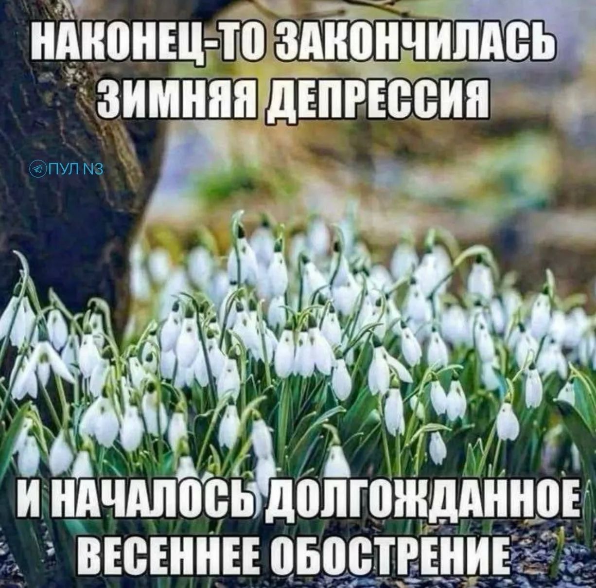 Наконец-то окончилась зимняя депрессия и началось долгожданное весеннее обострение