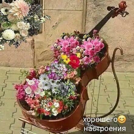 6 нёёгроения 354