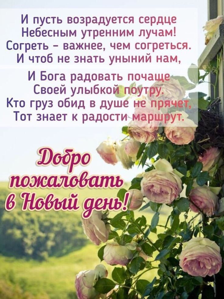 И пусть возрадуется се Небесным утренним щ Согреть важнее чем со И чтоб не знать унынт _ И Бога радовать пг Своей улыбкой Кто груз обид в душе Тпт знает к радости ч Юобро пожалрёать 15 а і