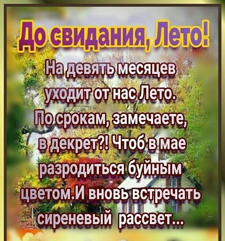 цветом_ И внбвь сиреневый Ъассвет