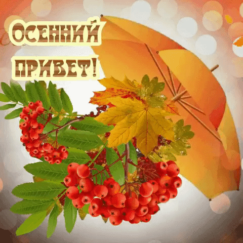 индии 111 м д лип ППЛБЕШ нг ППА А