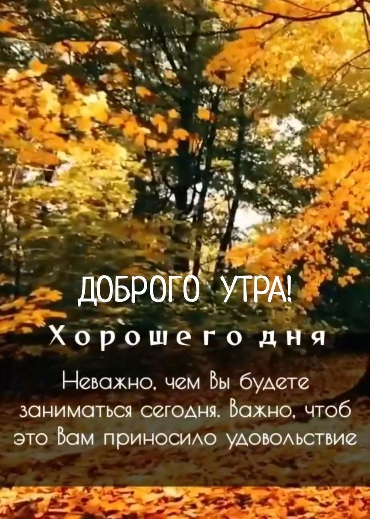 доврогё грм ХороШего дня Неважно чем Вы будет заниматься сегодня Важно чтоб ЭТО ВОМ ПРИНОСИАО УАОЮАЬСТВИС