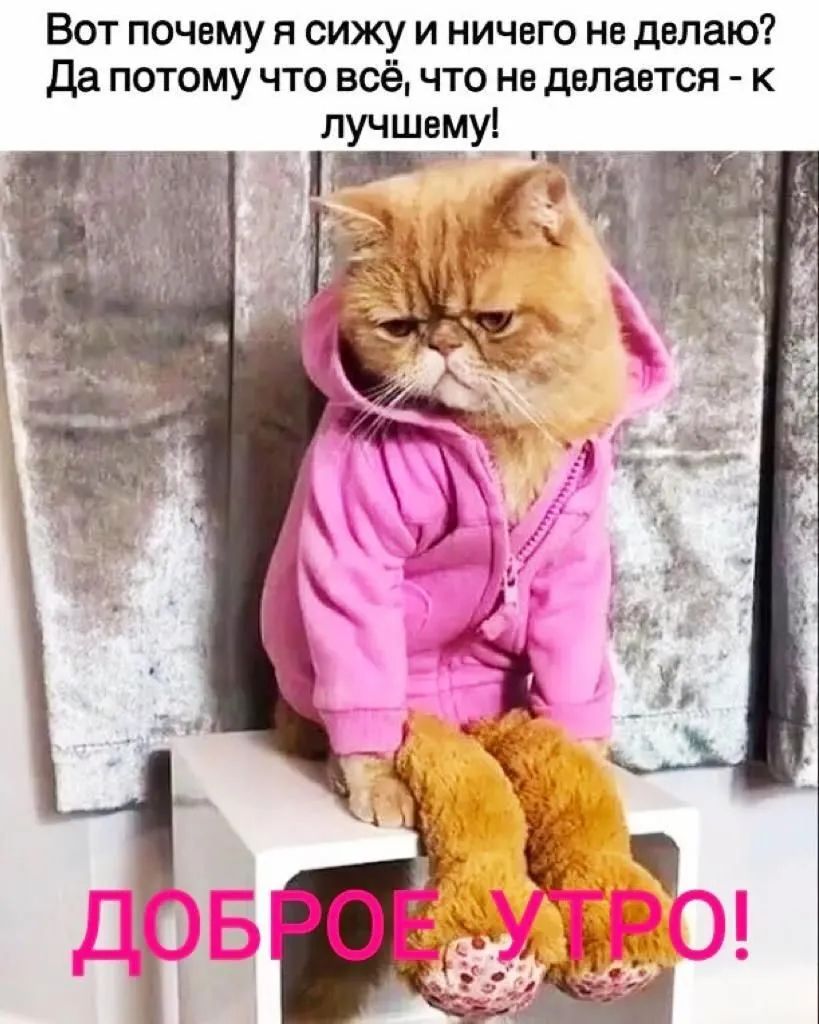 Вот почему я сижу и ничего не делаю да потому что всё что нв двпавтся к