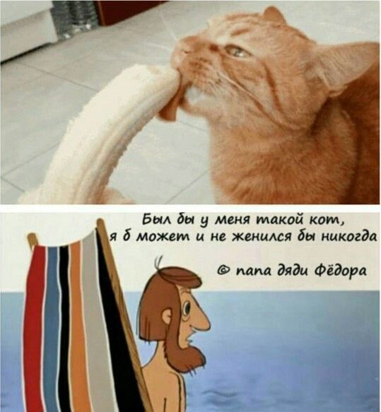 Был бы 5 миля тихой ком 6 Маждм и и жимыся бы иикогдл мм дяди Фёдпра