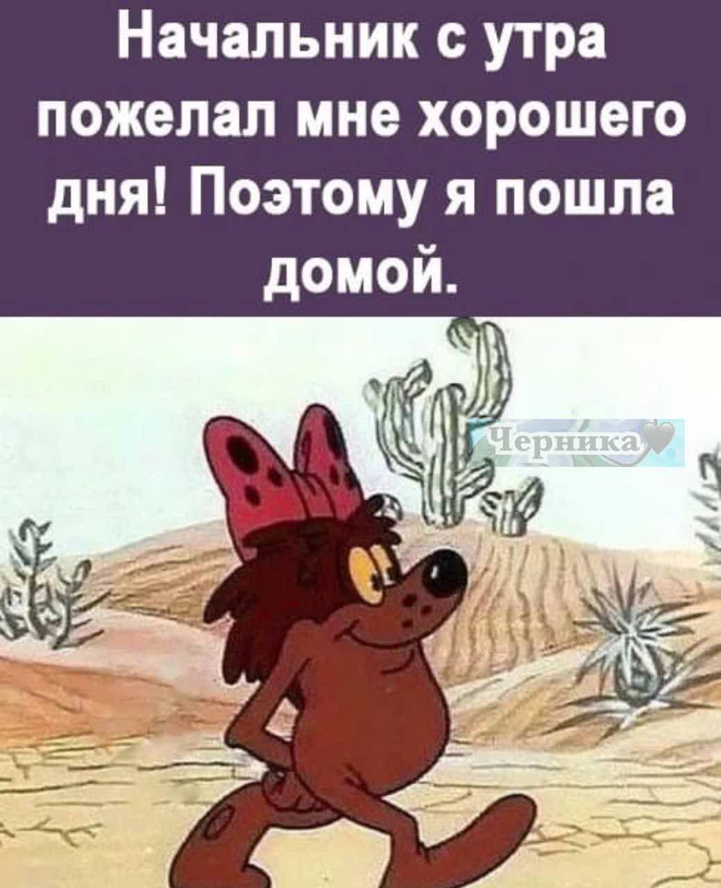 Начальник утра пожелал мне хорошего дня Поэтому я пошла домой