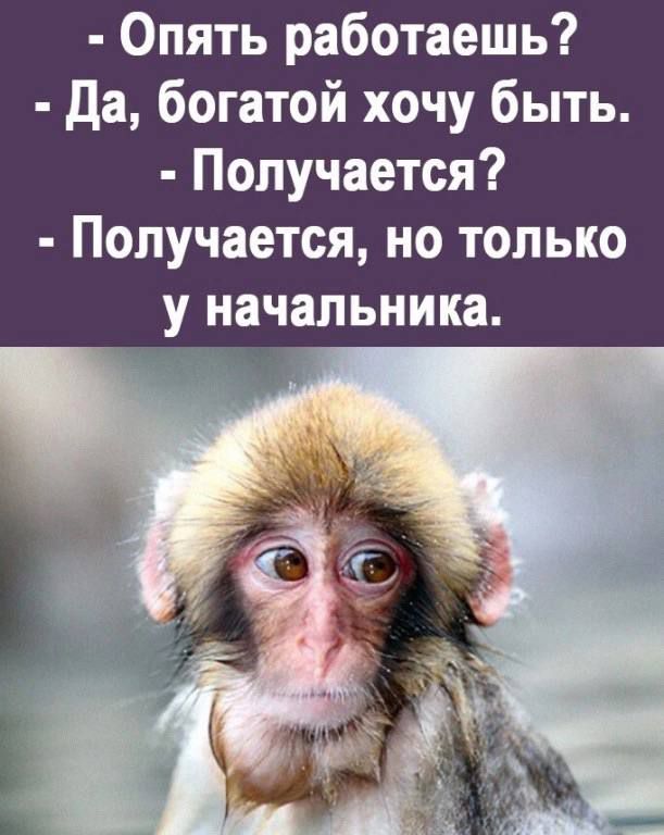 Опять работаешь да богатой хочу быть Получается Получается но только у начальника
