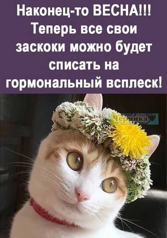 Наконец то ВЕСНА Теперь все свои заскоки можно будет списать на гормональный всплеск