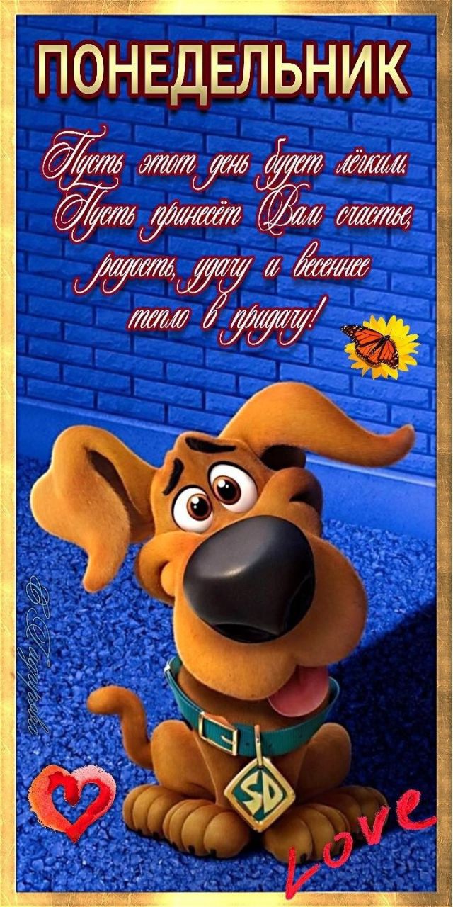 ПОНЕДЕЛЬНИК 674 тм ЁЁ