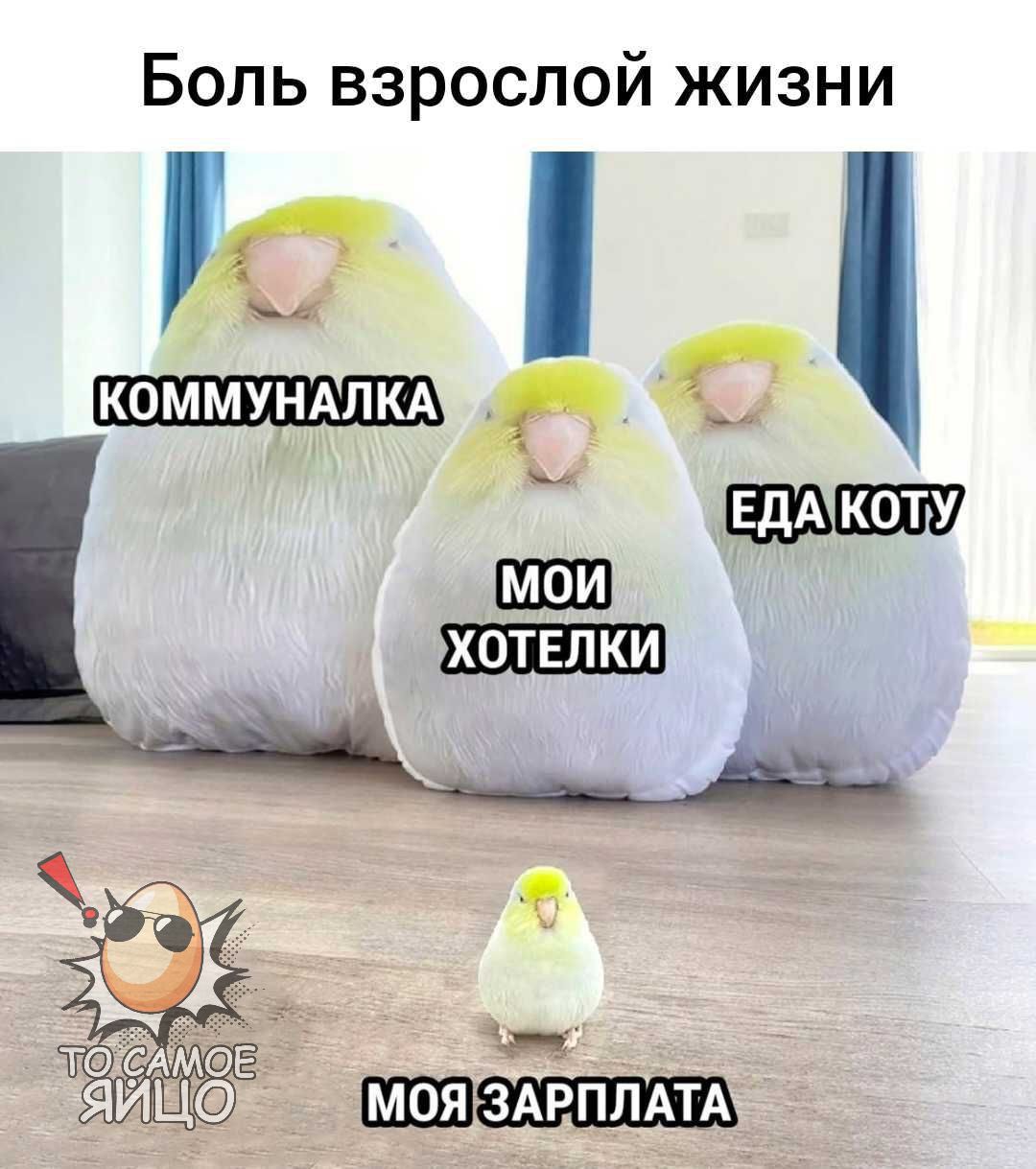 Боль взрослой жизни