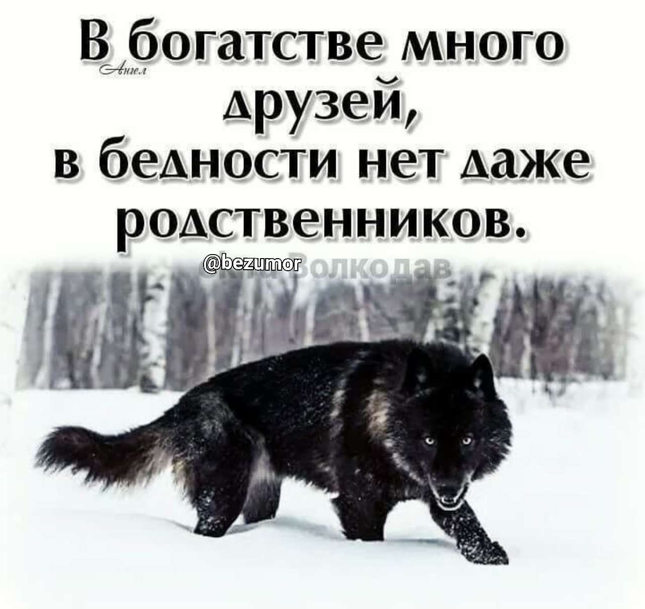 Всабогатстве много друзей в бедности нет Ааже р0Аственников ще 7