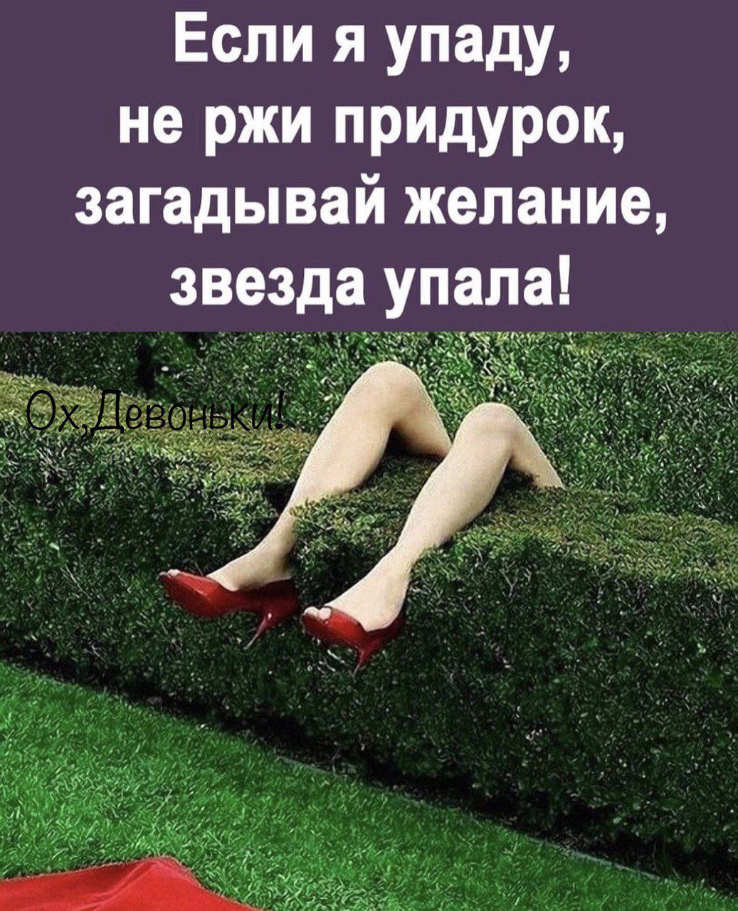 Если я упаду не ржи придурок загадывай желание звезда упала