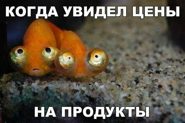 КОГДА УВИДЕП ЦЕНЫ 9 до 0 _ ч_в і и а Зт О Р п НА ПРОДУКТЫ с а