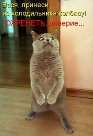 я принеси опод ипьни и колбасу ерие