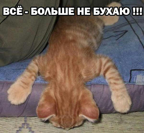 ВСЁ БОАЬШЕ НЕ БУХАЮ