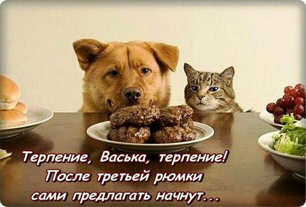 Тергі ие Васька терпени осле третьей рюмк сами предлагать наЧну
