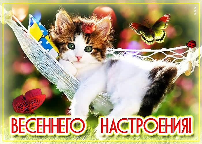 г _ 4 4 4