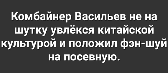 Комбайнер Васильев не на шутку увлёкся китайской культурой и положил фэн шуй на посевную