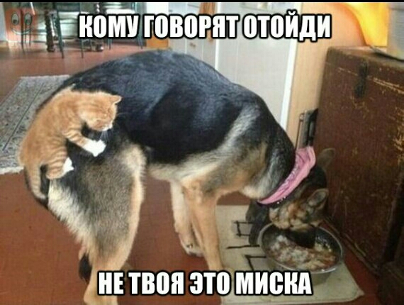 НЕ ПЮП ЗЩМ ИЩИ