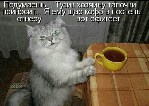 ПодуМае _ почки приносит _ остепь отнесу эфигеет