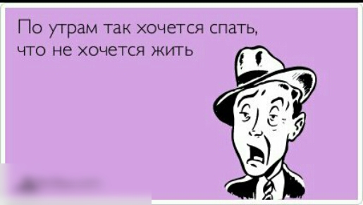 По утрам так хочется спать что не хочется жить