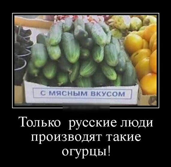 Только русские люди ПРОИЗВОДЯТ такие огурцы