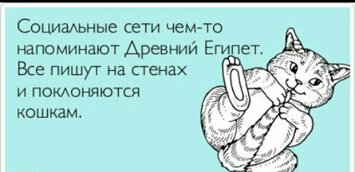 Социаммые сети чем то напоминают Древний Егиет Все пишут на стенах и поменяются кошкам
