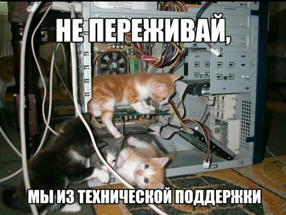 оддігшни ИЁЗЕБПШЛ Т