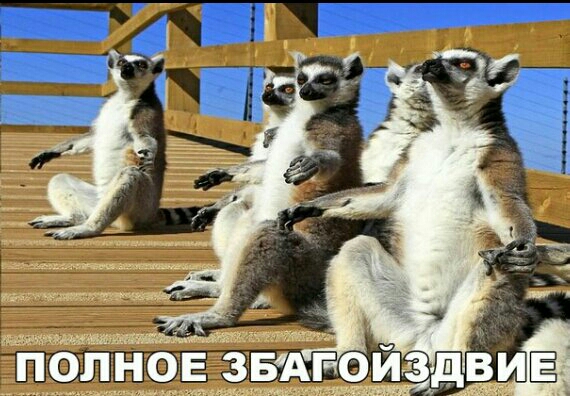 полное звщгойад щшмщшь