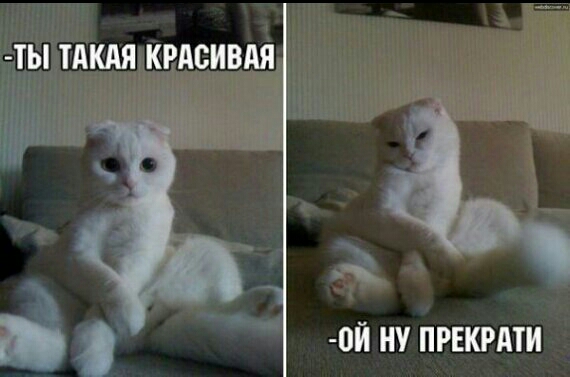 0Й НУ ПРЕКРАТИ